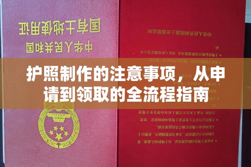 信义护照制作的注意事项，从申请到领取的全流程指南